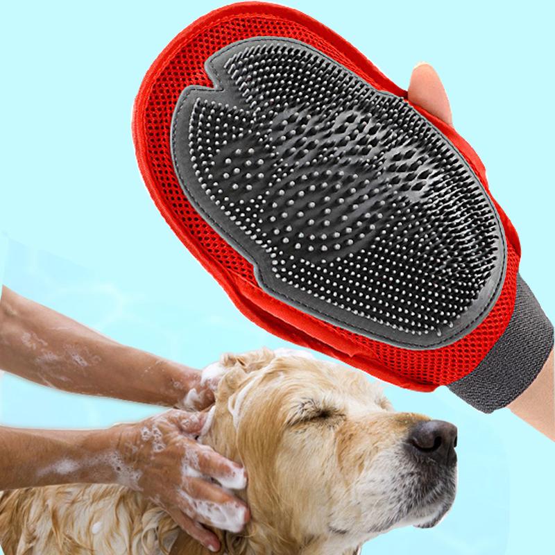 At-home pet grooming and nail care