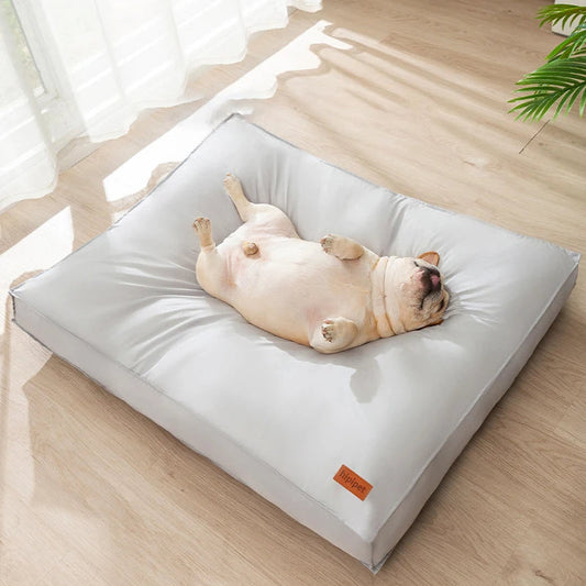Calm dog resting in an orthopedic bed