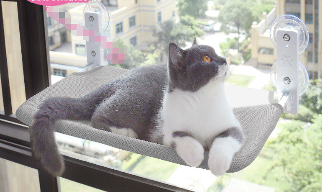 Window Cat Hammock – Heavy-Duty Suction Cup Perch